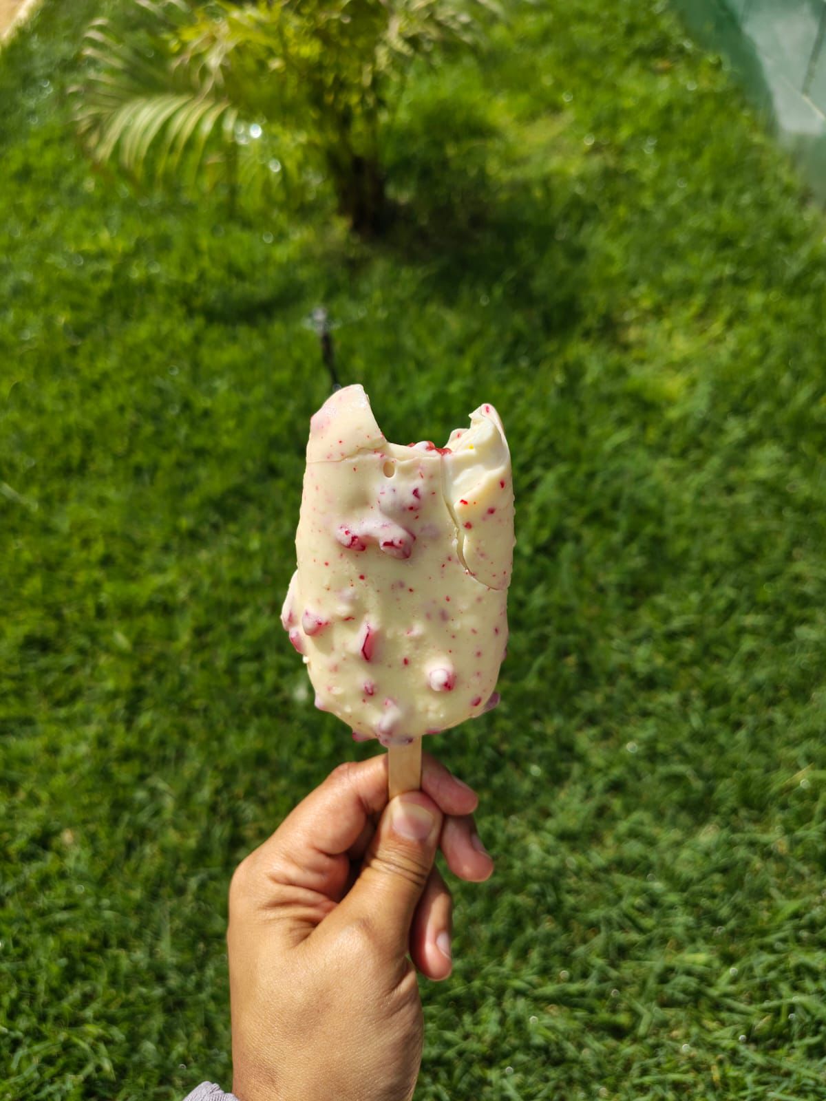 Cravejado